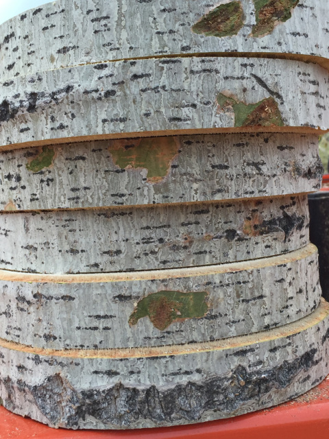 Round Rustic Poplar Wood Slices Centerpieces 12